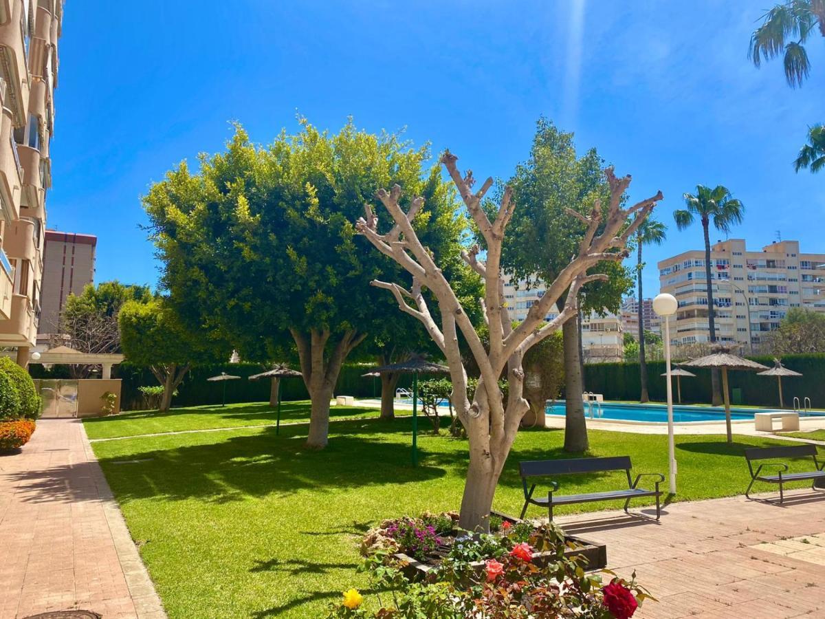 Apartamento Atenas Piscina 4 pax, Inmobiliaria Leo Playa de San Juan Alicante Exterior foto